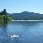 Stor-elvdal 3*
