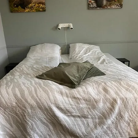 Hotell Stor-elvdal