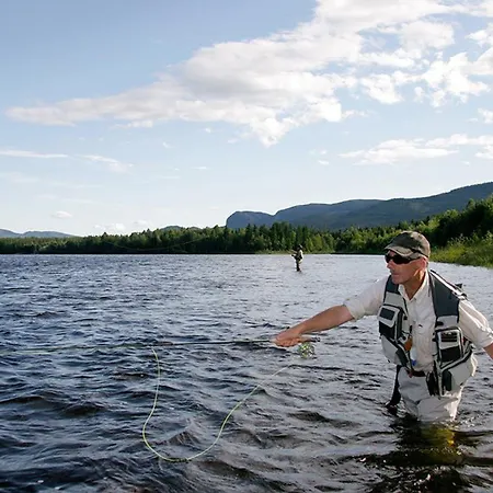 ホテル Stor-elvdal